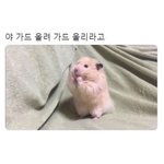 [댓글부탁해] 와진짜 집에만 있으니까 ㅈㄴ심심하다