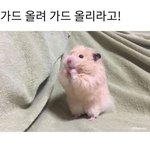 [드루와] 근데 몇년간 판 해보니