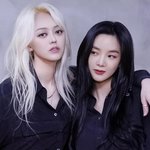 솔직히 실력파 그룹 레전드는