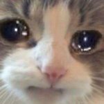 [댓글부탁해] <b>증사</b> 머리 추천 좀 해줘 얘들아 제바루 ㅠㅠㅠ