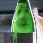[댓글부탁해] 치과 안가고 뻐겼는데 <b>뒤질</b>거같앵