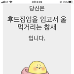 [댓글부탁해] 나 귀에서 피나오는데