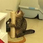 애!!!!오!!!