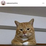[댓글부탁해] <b>실베</b>에 문재인관련된글 소름돋지않음?
