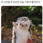 [드루와] 얘드라 너네 <b>장래</b>희망 좀 쓰고 가주라