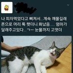 [드루와] 얘들아 요새 후드티나 맨투맨 뭐가 이쁘뇽