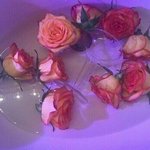 [댓글부탁해] 파데 <b>유목민</b>...파데추천좀