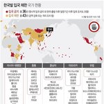 '착륙 불허' 베트남에 오늘도 빈 비행기 띄웠다…터키는 결항