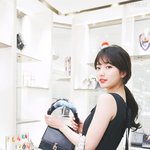 <b>펜디</b> 수지