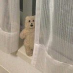 [댓글부탁해] 다들 이번주 학원 <b>휴원</b>했냐..??