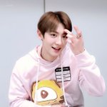 <b>찬열</b> 대형견미 오진다