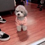 태연팬들아 <b>제로</b> 사진이나 짤 좀 주라 ㅠㅠ