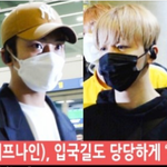 [<b>SF9</b>] <b>SF9</b> 입국 풀 존잘 ㄱㄱ!
