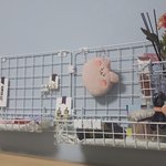 [드루와] 내 <b>네트</b>망 볼사람 헤헤
