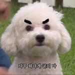 이거 너무 <b>양심</b>없는고야?