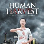 [이것좀봐줘] 조선족이 무서워하는 파룬궁