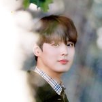 <b>병</b>찬이 <b>이</b> 홈마 대박인데