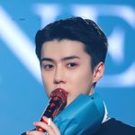 같은샵 다니는 아이돌의 반려<b>견들</b>