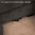 다시 웃음을 되찾은 귀요미들