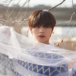 [드루와] 오늘 솔로데뷔하는 아이돌