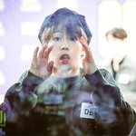 이 강아지 뭐냐