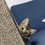 <b>발등</b> 뼈에 금갈 수도 있냐