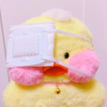 어렸을때 드립쳐서 80년<b>후반</b><b>언니</b>가