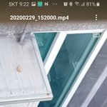 [강아지] 이 강아지 도와줄수 있는 방법 있을까요?