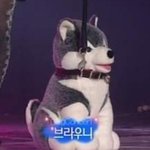 [댓글부탁해] 너넨 <b>bj</b>랑 연예인이랑 동급이라고 생각해?