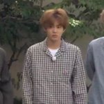 [댓글부탁해] <b>본진</b> 하찮은 짤 좀