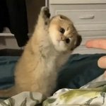 [댓글부탁해] <b>아이돌</b> 노래 띵<b>곡</b> 좀 알려줘 제발
