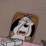 [댓글부탁해] 코로나가 우리 하숙생한테 끼친 <b>영향</b>