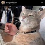 [드루와] 이 <b>고영</b> 넘 예쁘지 않냐ㅠㅠ