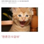 [댓글부탁해] 하관 긴 야들아 <b>드러</b>와바