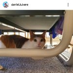 [강다니엘] <b>피터</b>야!!!!!!!!