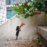 <b>시강</b> 쩌는 길거리 작품들ㅋㅋ