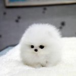 [댓글부탁해] 보면 <b>경악</b> 지를 수도 있음 주의해라