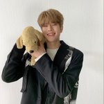 도대체 누가 강아지야ㅋㅋㅋㅋ