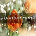 [꼭봐주세요] 오늘도 느낌이 좋은 <b>하루</b> 되세요~
