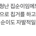 [드루와] 집에서 할 거 추천해드림 너네도 추천 해줘