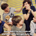 [드루와] 원디렉션!!!!!!!!!