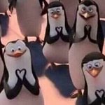 방금 빛삭 봣다