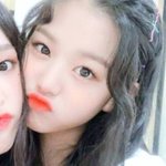 예비매삼비 말<b>이양</b>