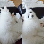 [댓글부탁해] <b>외동</b>같다 <b>외동</b>같이 생겼다 무슨 의미?