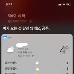 [댓글부탁해] 얘들아 너희도 <b>시리</b>에서 이름 공주로 해놔