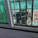 [이것좀봐줘] 중국 광저우 강제격리 실상황 입니다..