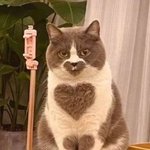 [댓글부탁해] <b>쉼터</b> 사는데 궁금한거 있음? 질문ㄱ