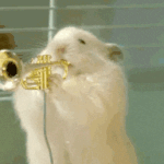 [드루와] 두윗두윗<b>츄</b>우