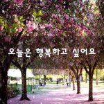 [힘이되줄게] 오늘은 행복하고 싶어요~