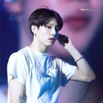 야자수 코코넛이 생각나는 남돌